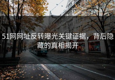 51网网址反转曝光关键证据，背后隐藏的真相揭开