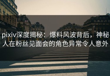 pixiv深度揭秘：爆料风波背后，神秘人在粉丝见面会的角色异常令人意外