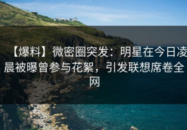 【爆料】微密圈突发：明星在今日凌晨被曝曾参与花絮，引发联想席卷全网