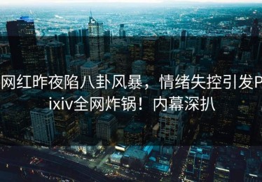 网红昨夜陷八卦风暴，情绪失控引发Pixiv全网炸锅！内幕深扒