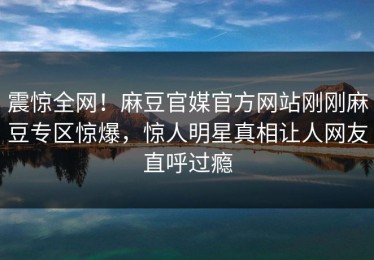震惊全网！麻豆官媒官方网站刚刚麻豆专区惊爆，惊人明星真相让人网友直呼过瘾