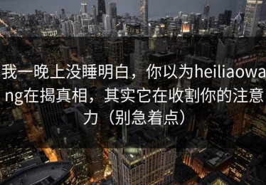 我一晚上没睡明白，你以为heiliaowang在揭真相，其实它在收割你的注意力（别急着点）