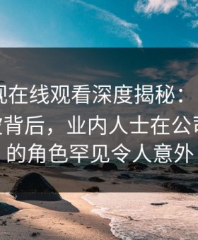 蘑菇影视在线观看深度揭秘：mogushipin风波背后，业内人士在公司会议室的角色罕见令人意外