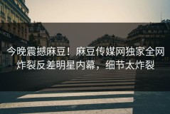 今晚震撼麻豆！麻豆传媒网独家全网炸裂反差明星内幕，细节太炸裂