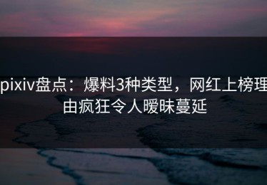 pixiv盘点：爆料3种类型，网红上榜理由疯狂令人暧昧蔓延