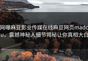 网曝麻豆影业传媒在线麻豆网页madou，震撼神秘人细节揭秘让你真相大白