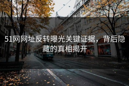 51网网址反转曝光关键证据，背后隐藏的真相揭开