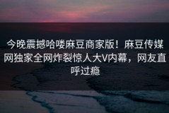 今晚震撼哈喽麻豆商家版！麻豆传媒网独家全网炸裂惊人大V内幕，网友直呼过瘾
