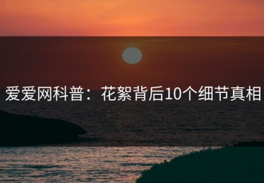 爱爱网科普：花絮背后10个细节真相